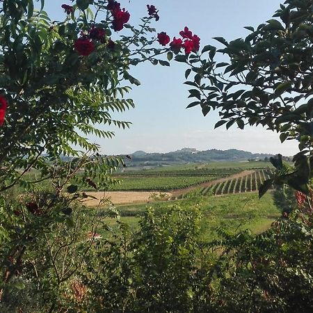 Agriturismo La Chiesina 아바디아 디 몬테풀치아노 외부 사진