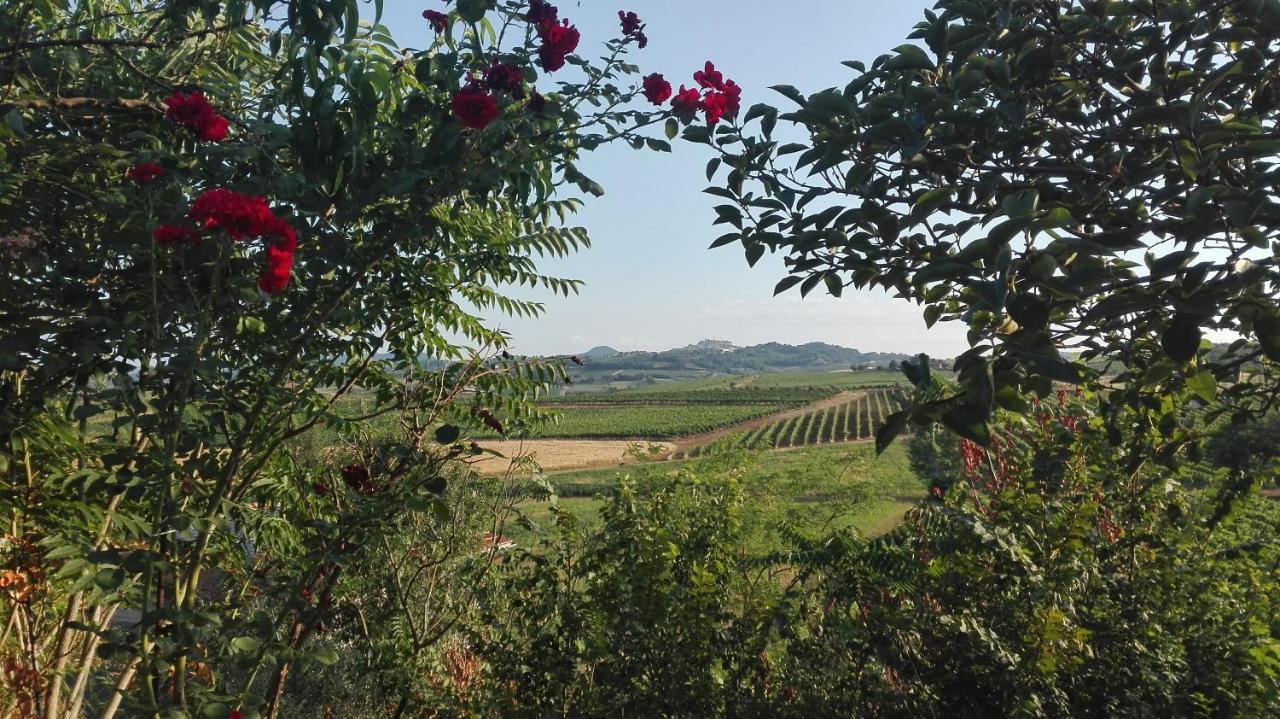 Agriturismo La Chiesina 아바디아 디 몬테풀치아노 외부 사진