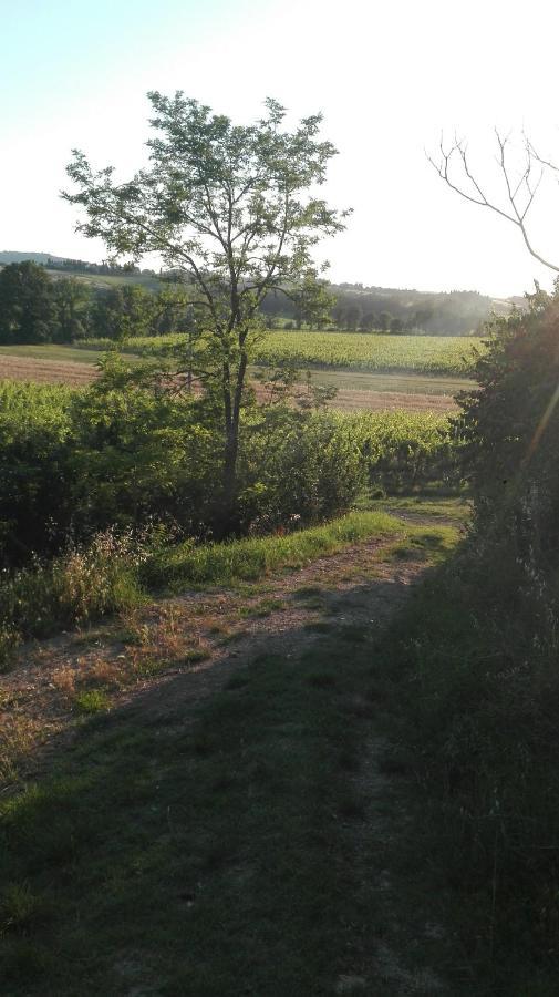 Agriturismo La Chiesina 아바디아 디 몬테풀치아노 외부 사진