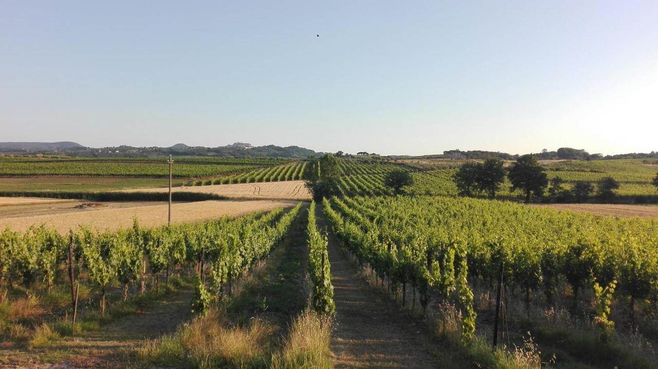 Agriturismo La Chiesina 아바디아 디 몬테풀치아노 외부 사진